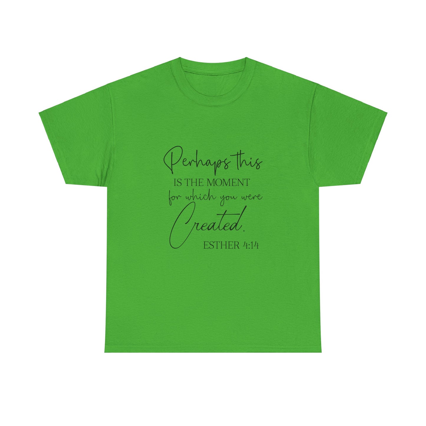 Perhaps This Is The Moment For Which You Were Created-Esther 4:14; T-Shirt