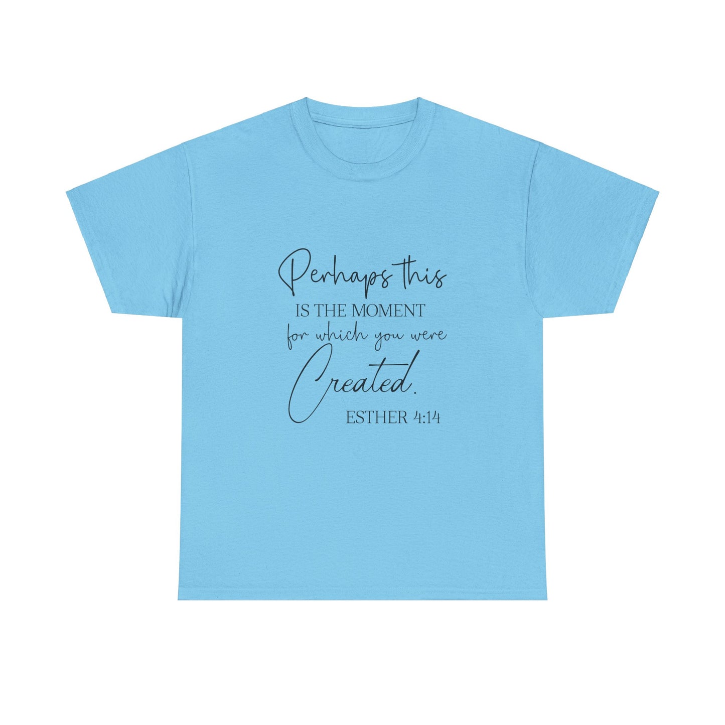 Perhaps This Is The Moment For Which You Were Created-Esther 4:14; T-Shirt