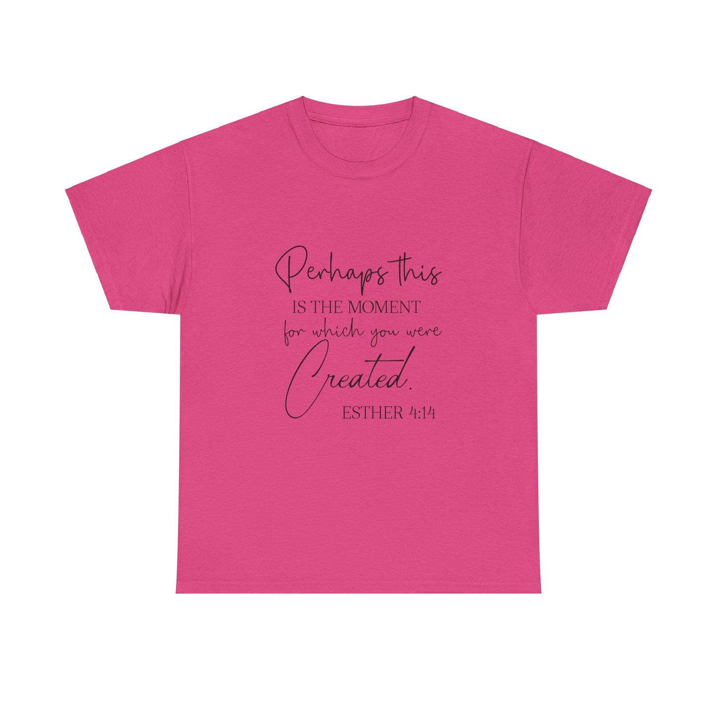 Perhaps This Is The Moment For Which You Were Created-Esther 4:14; T-Shirt