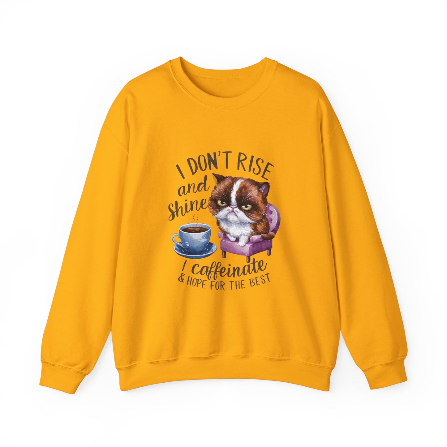 I Don't Rise and Shine-Unisex Heavy Blend™ Crewneck Sweatshirt